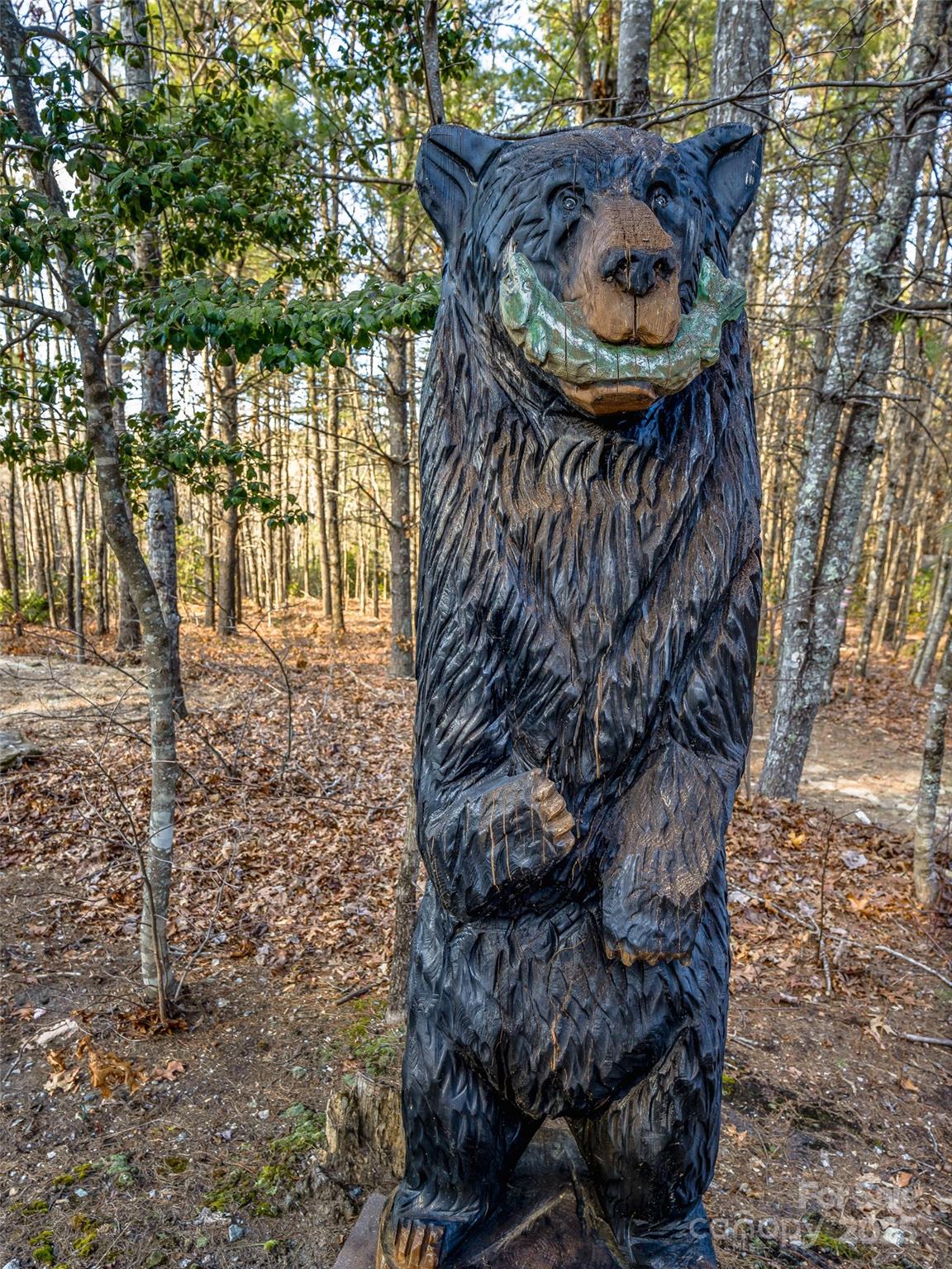 103 Duck Hope Drive — Hendersonville