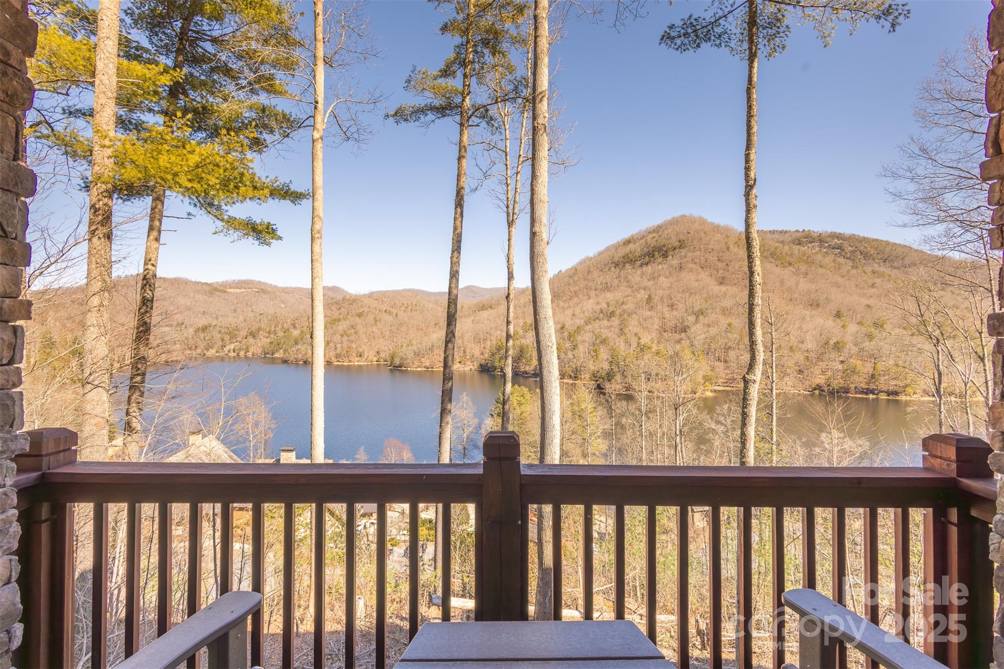 85 Southshore Drive #A1 — Tuckasegee