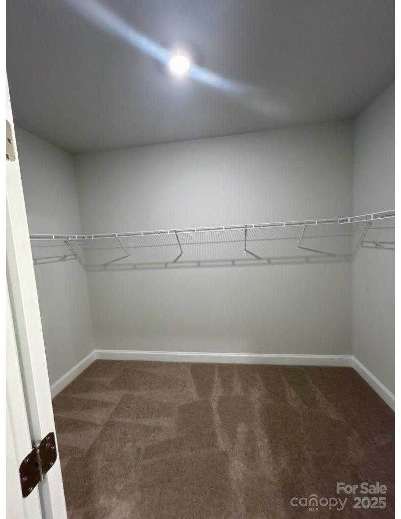 2924 Noritake Trail #59 — Albemarle