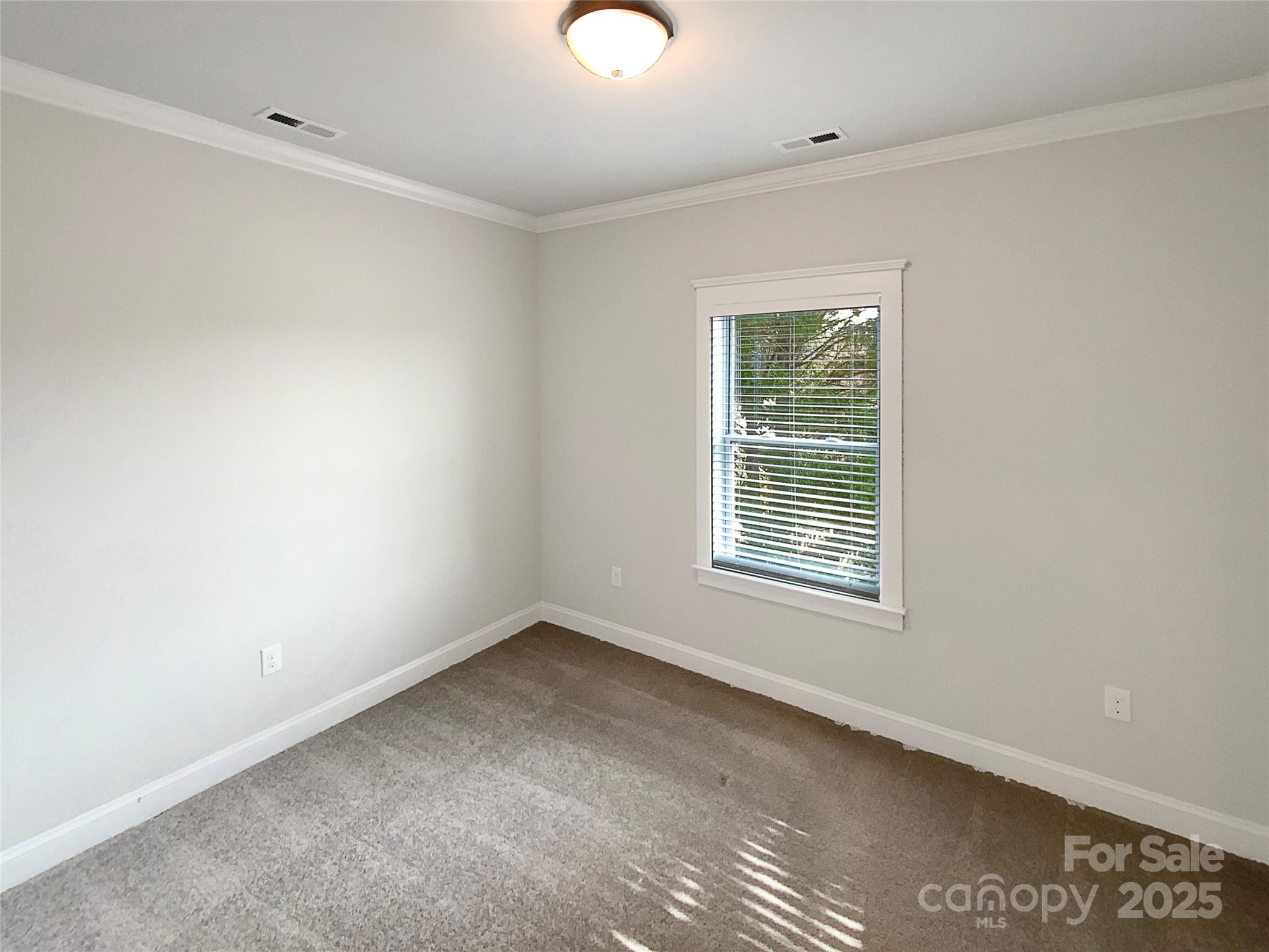 11005 Cobb Creek Court — Charlotte