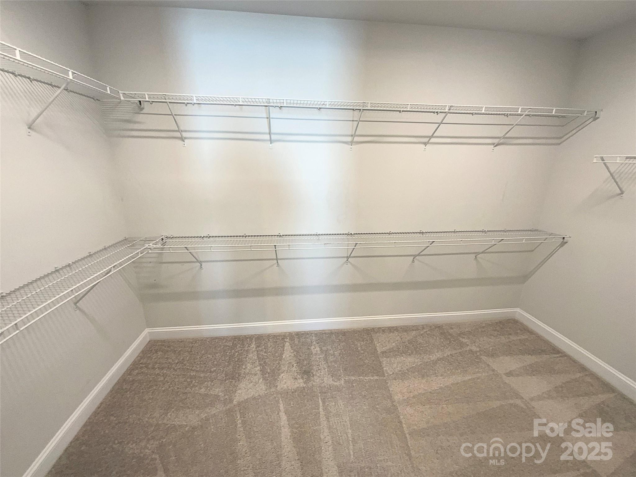 11005 Cobb Creek Court — Charlotte