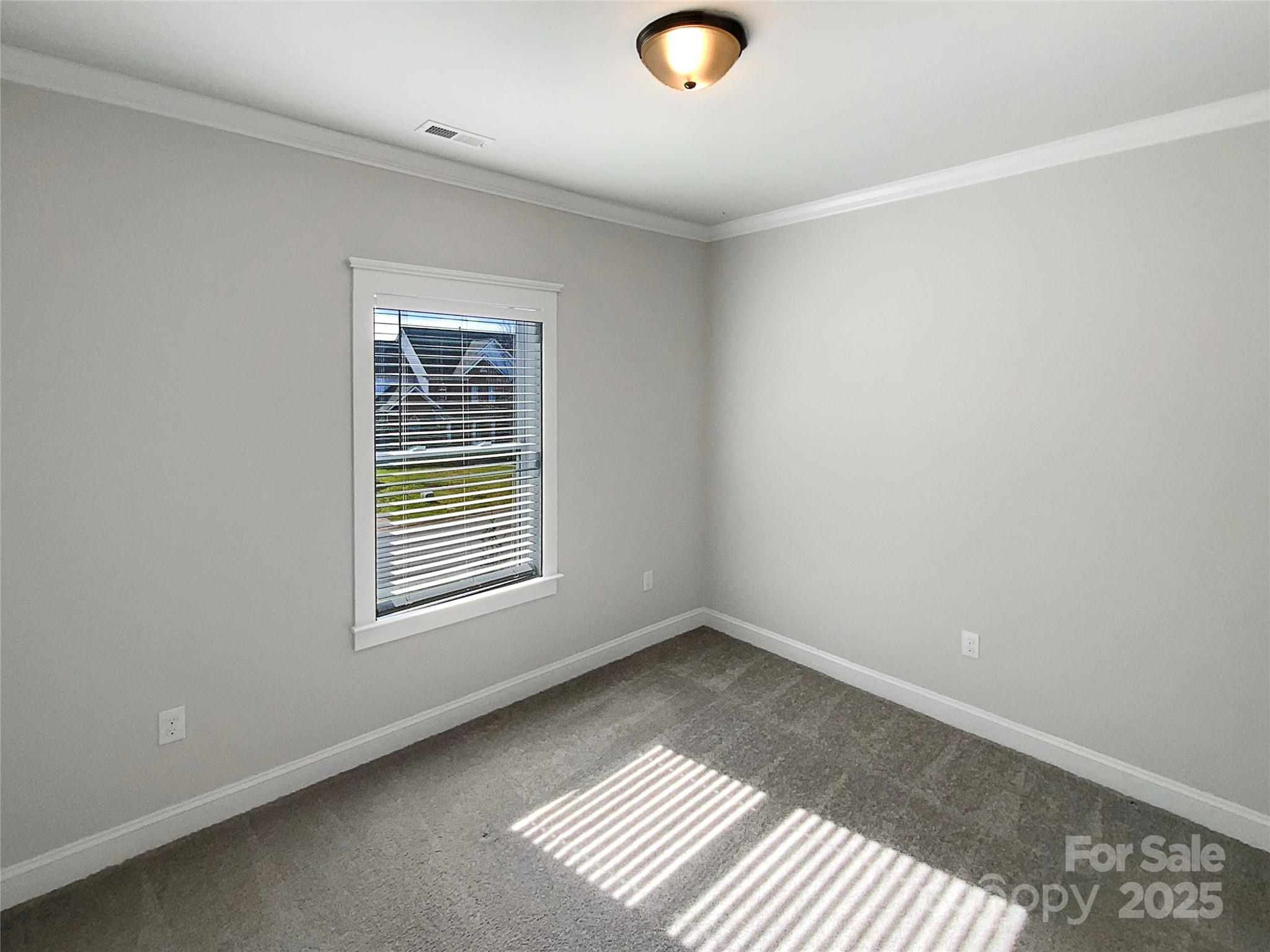 11005 Cobb Creek Court — Charlotte