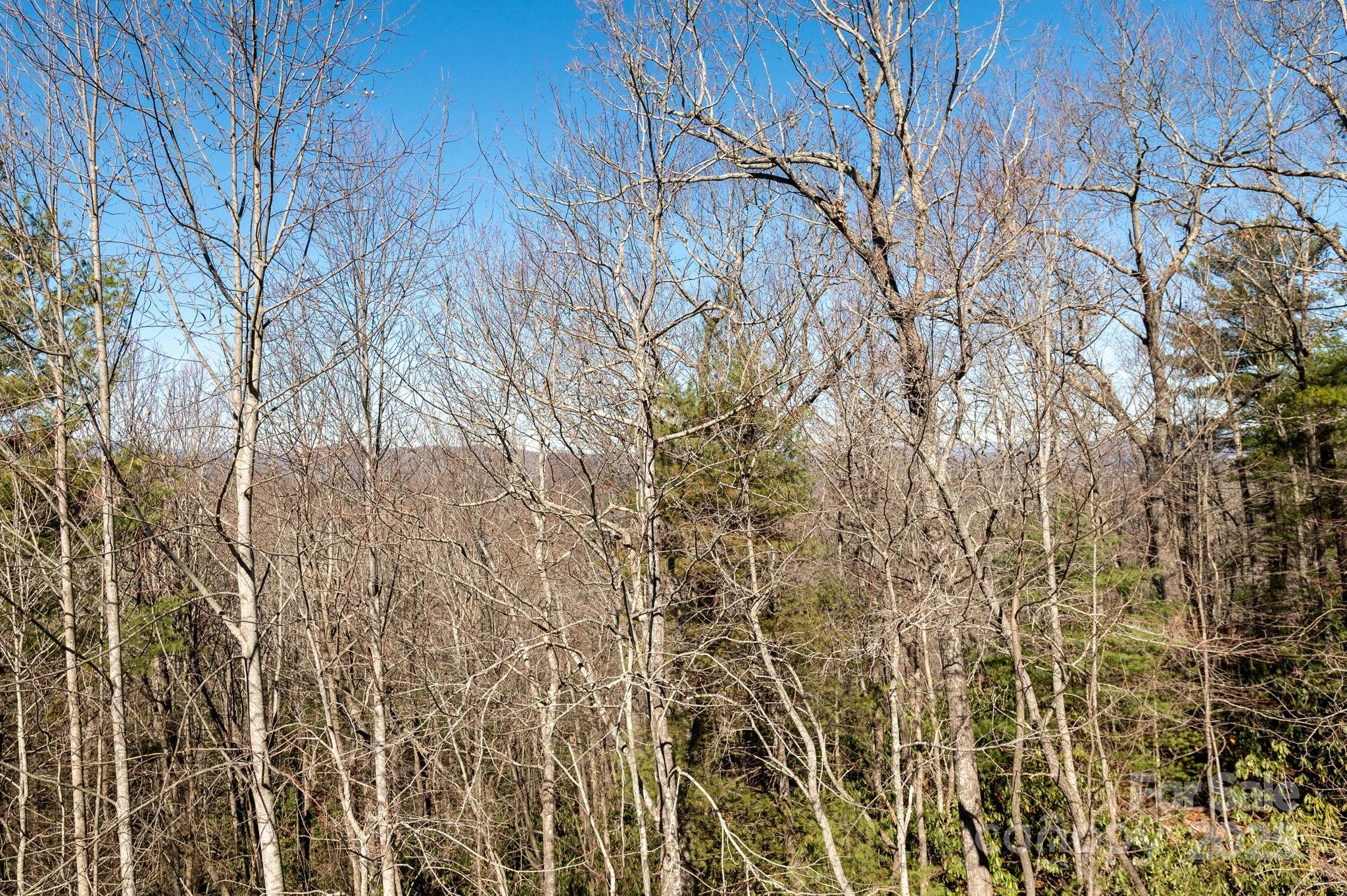 155 POPLAR LOOP Drive — Flat Rock