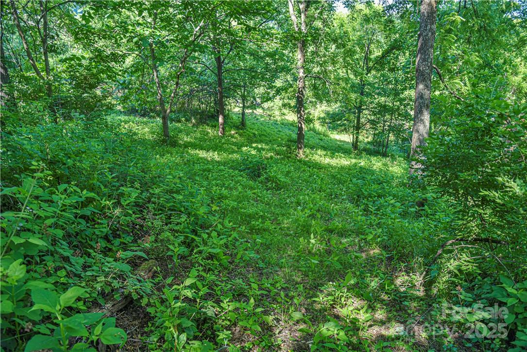 415 Weaverville Road — Asheville