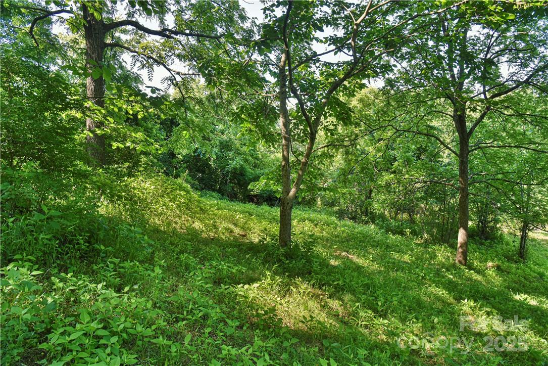 415 Weaverville Road — Asheville