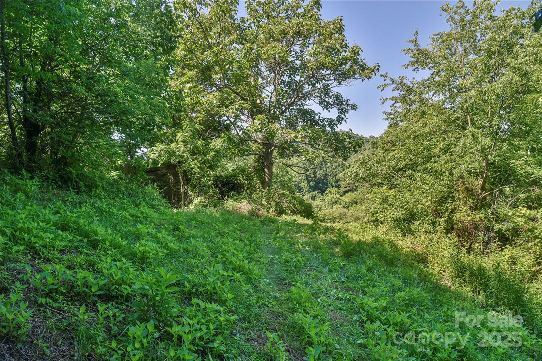 415 Weaverville Road — Asheville