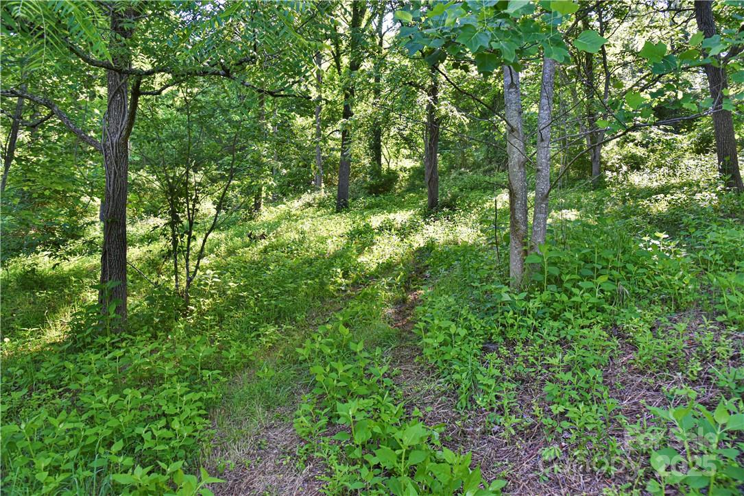 415 Weaverville Road — Asheville