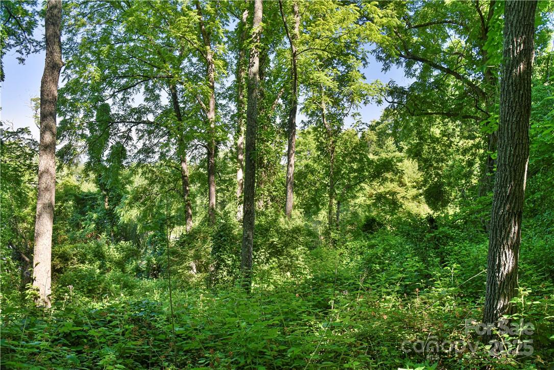 415 Weaverville Road — Asheville