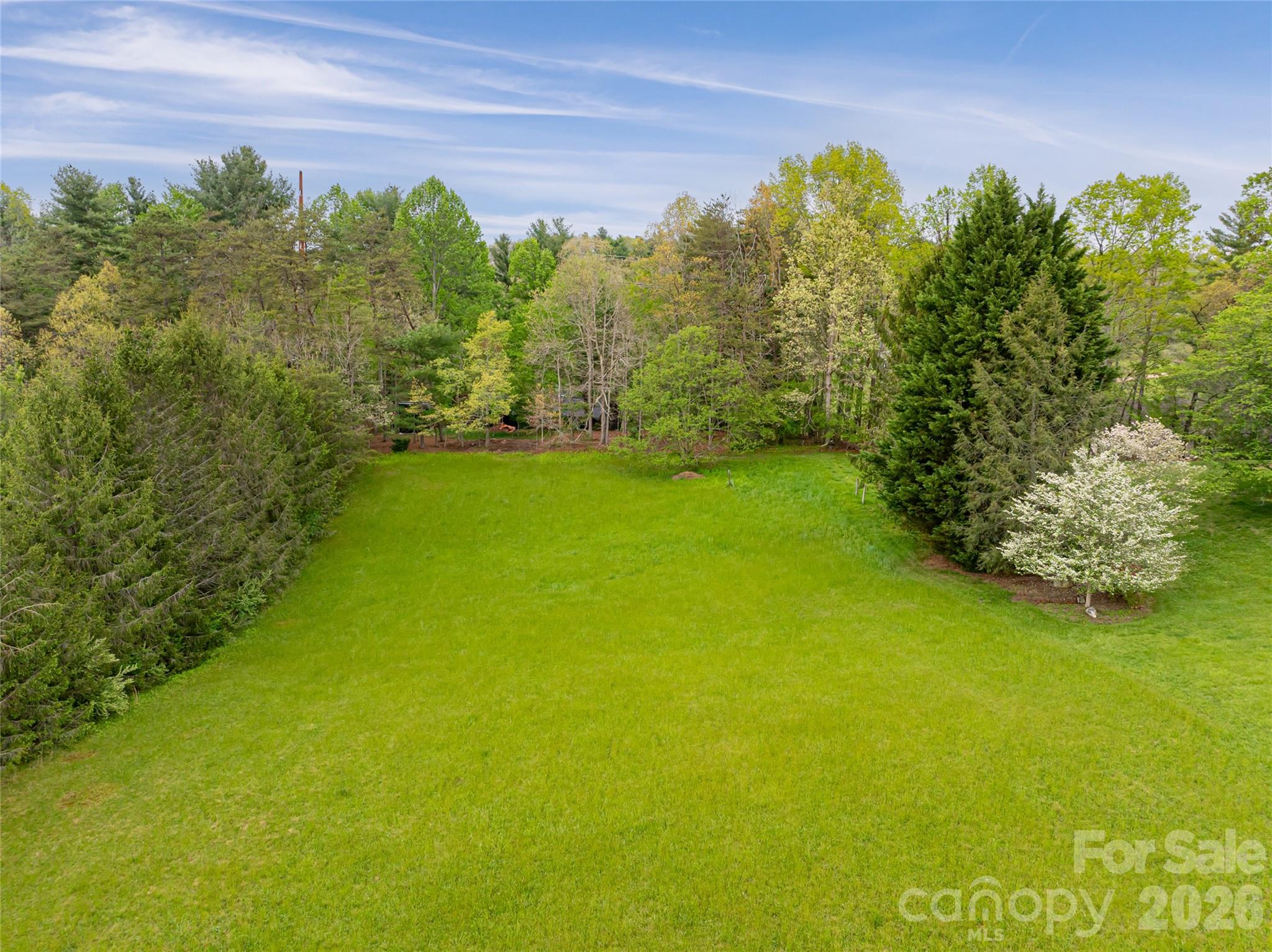 22 Moon Wood Trail — Asheville