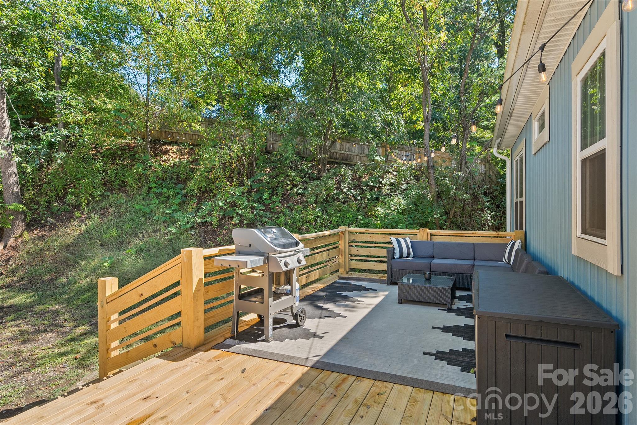 123 Arline Henry Way — Asheville