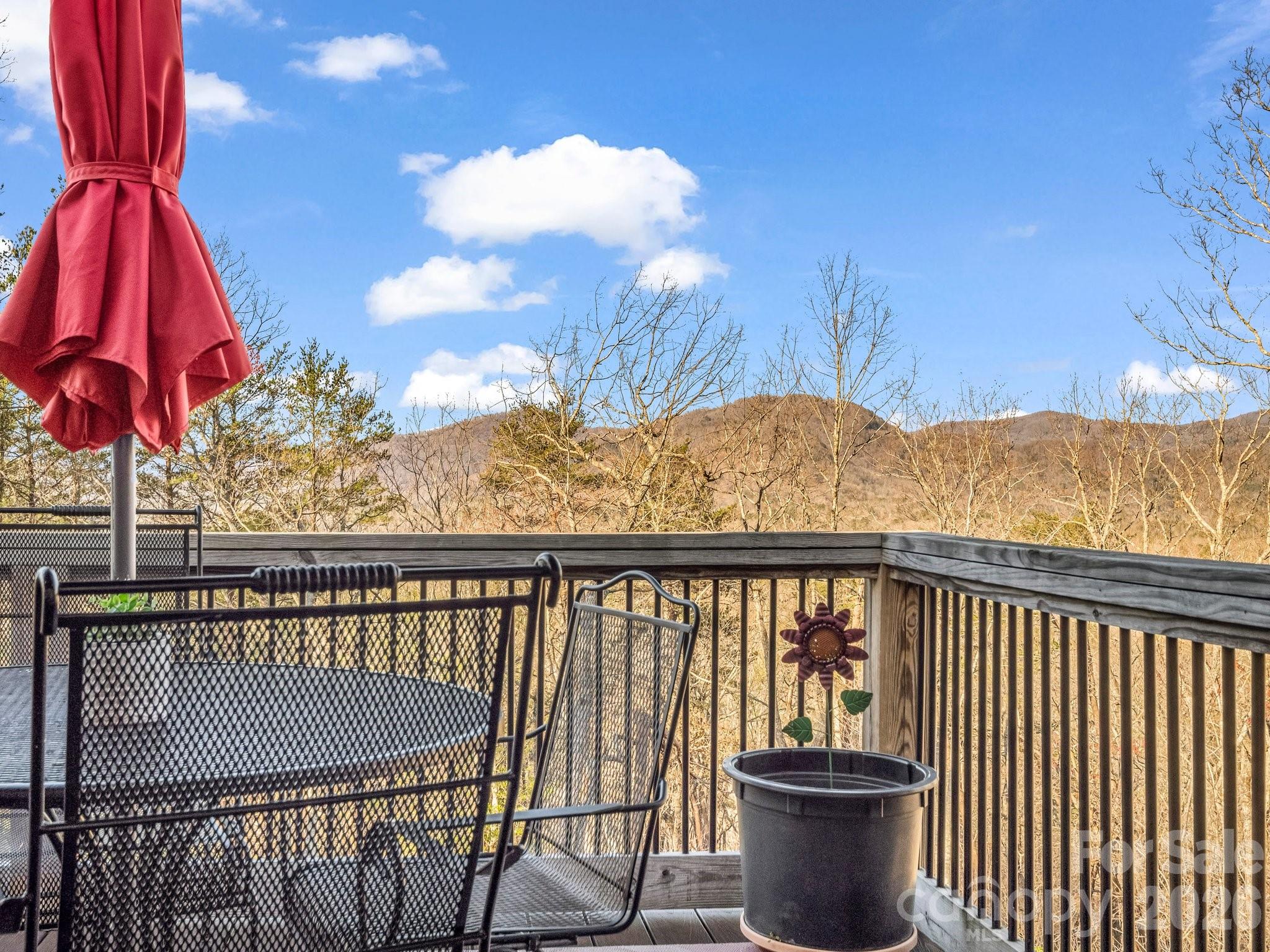 261 Boland Drive — Lake Lure