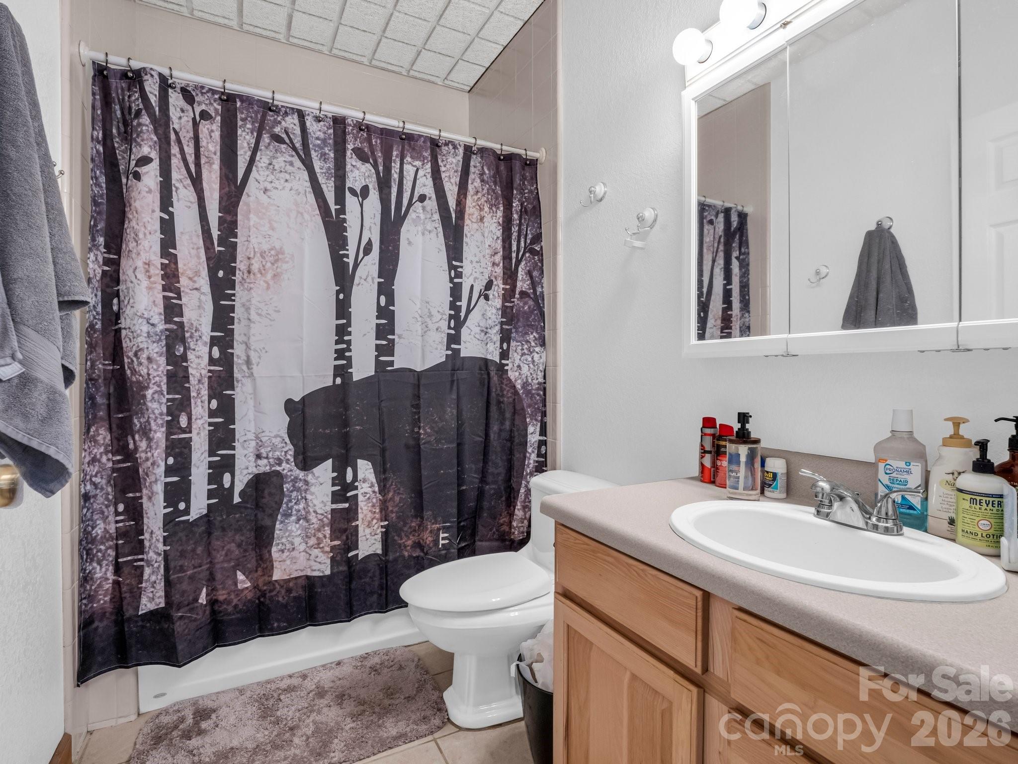 261 Boland Drive — Lake Lure