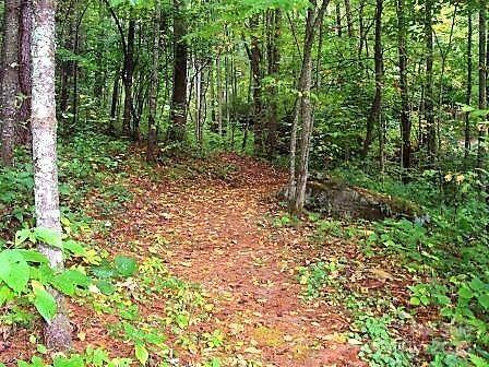 31 Whispering Falls Court #73 — Tuckasegee