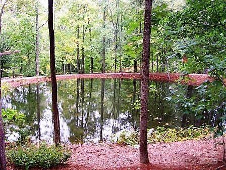 31 Whispering Falls Court #73 — Tuckasegee