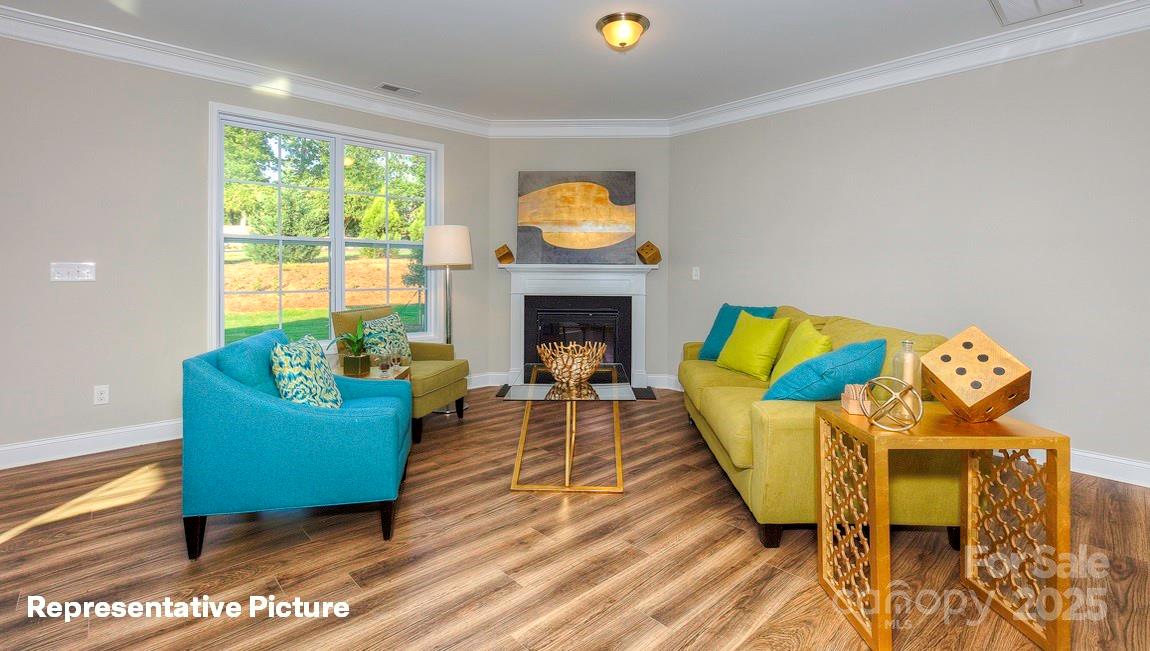 113 Asmodean Lane — Troutman