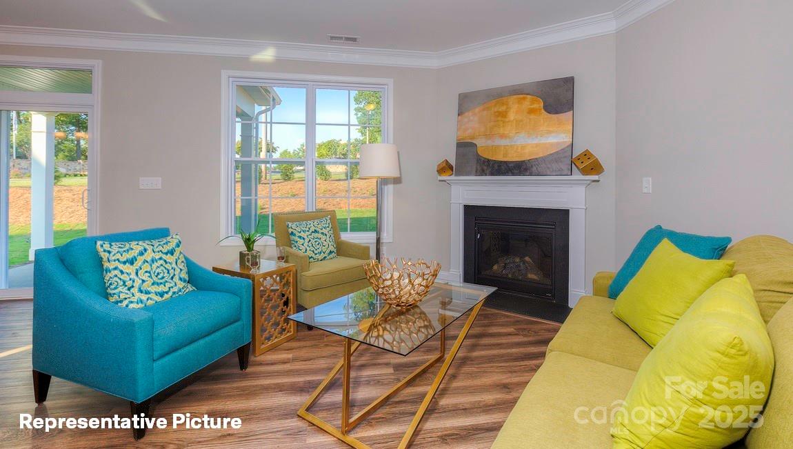 113 Asmodean Lane — Troutman