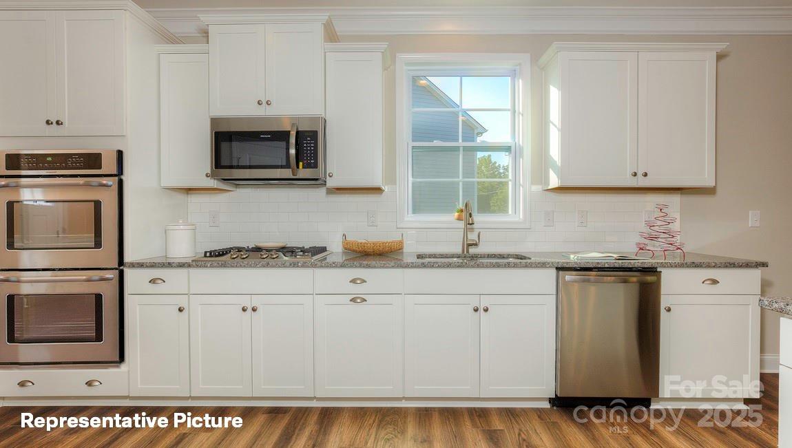 113 Asmodean Lane — Troutman