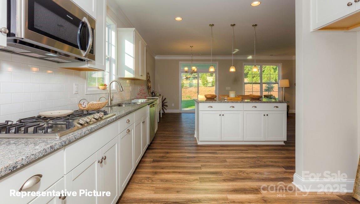 113 Asmodean Lane — Troutman