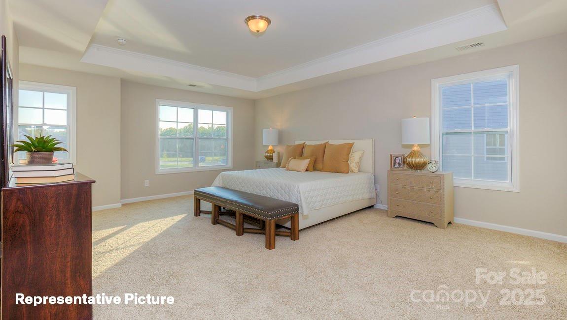 113 Asmodean Lane — Troutman