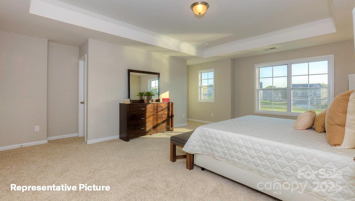 113 Asmodean Lane — Troutman