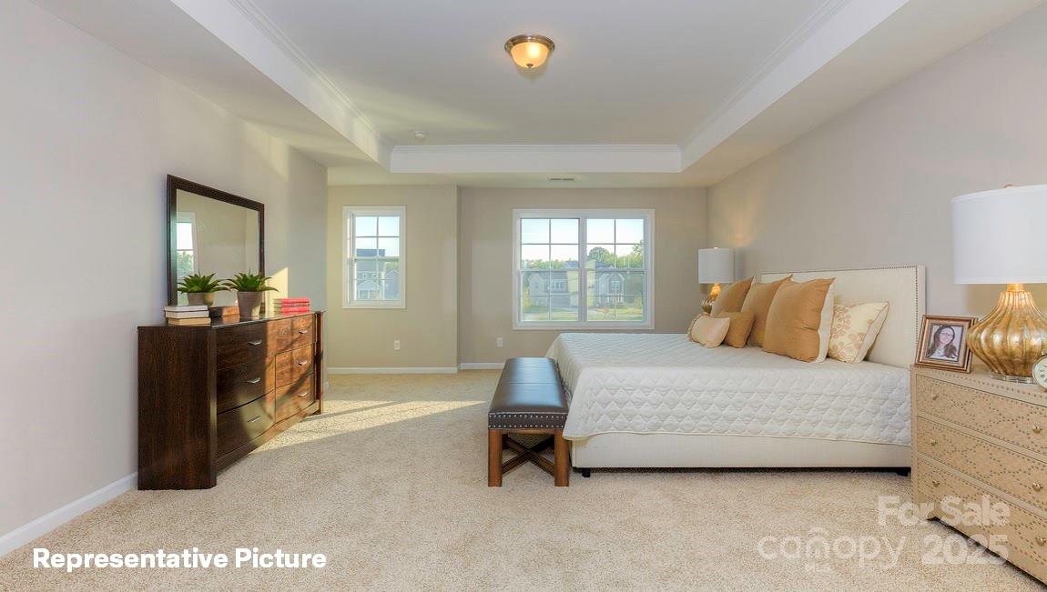 113 Asmodean Lane — Troutman