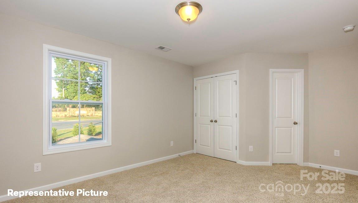 113 Asmodean Lane — Troutman