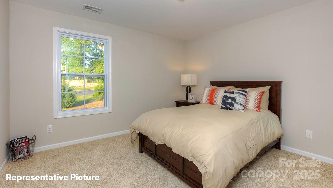 113 Asmodean Lane — Troutman