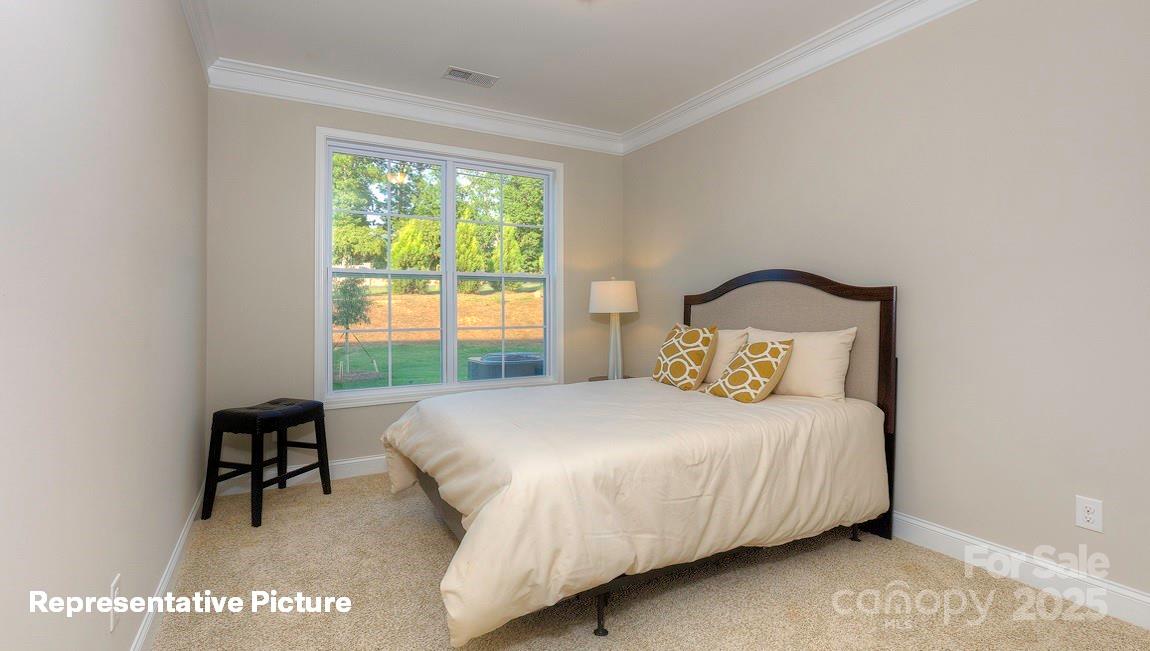 113 Asmodean Lane — Troutman