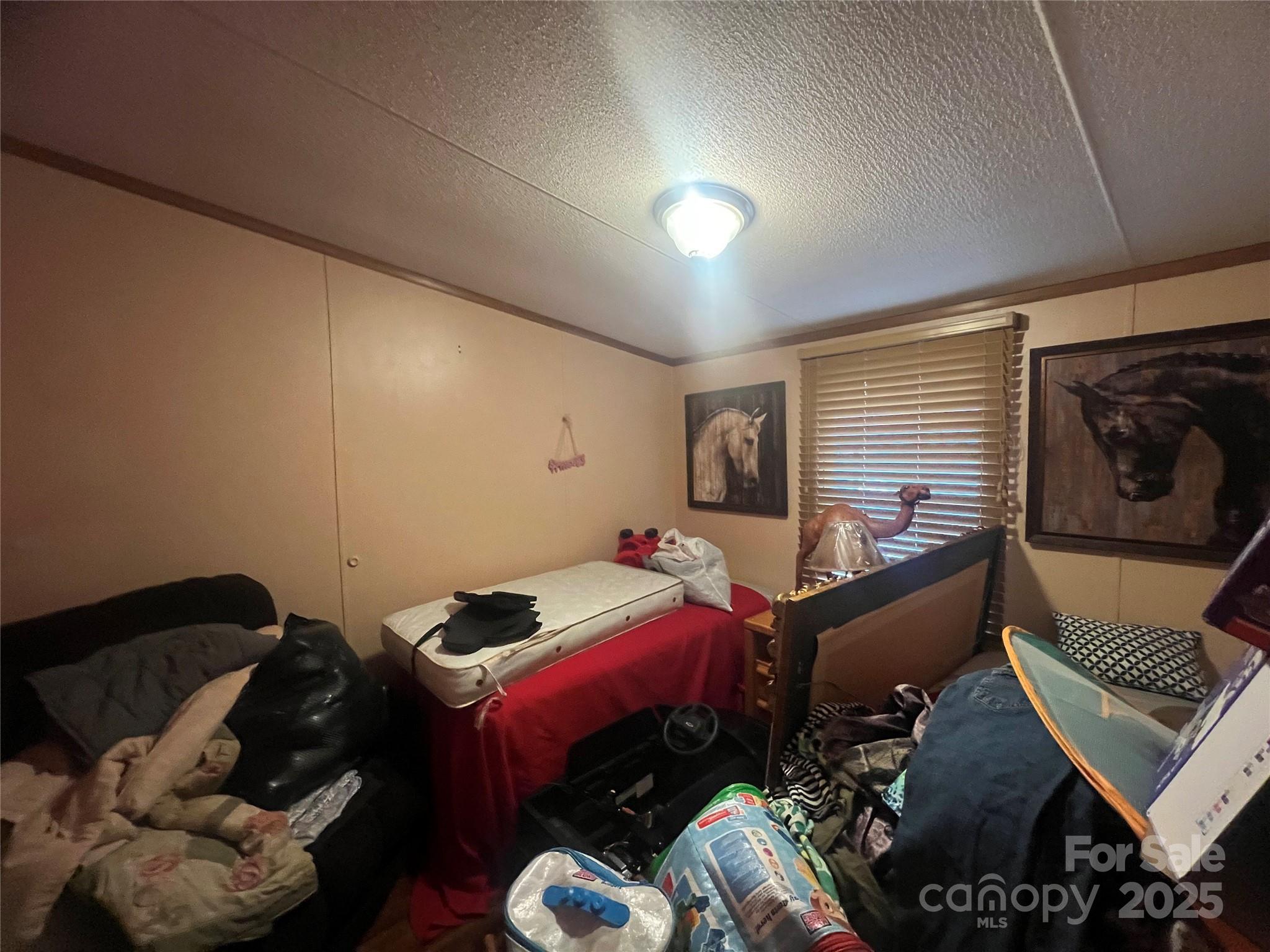 171 Courtney Place Lane — Pageland