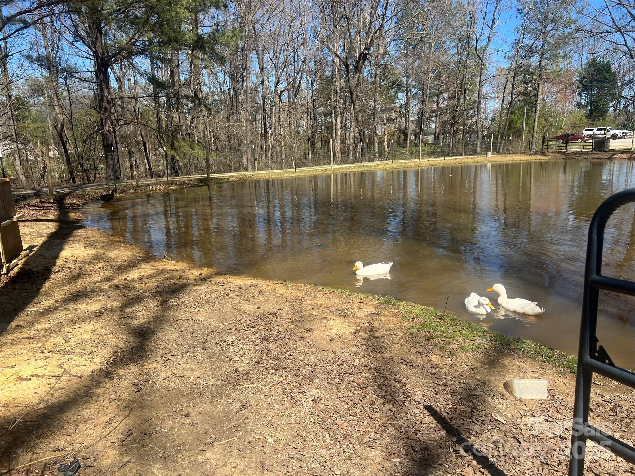 171 Courtney Place Lane — Pageland