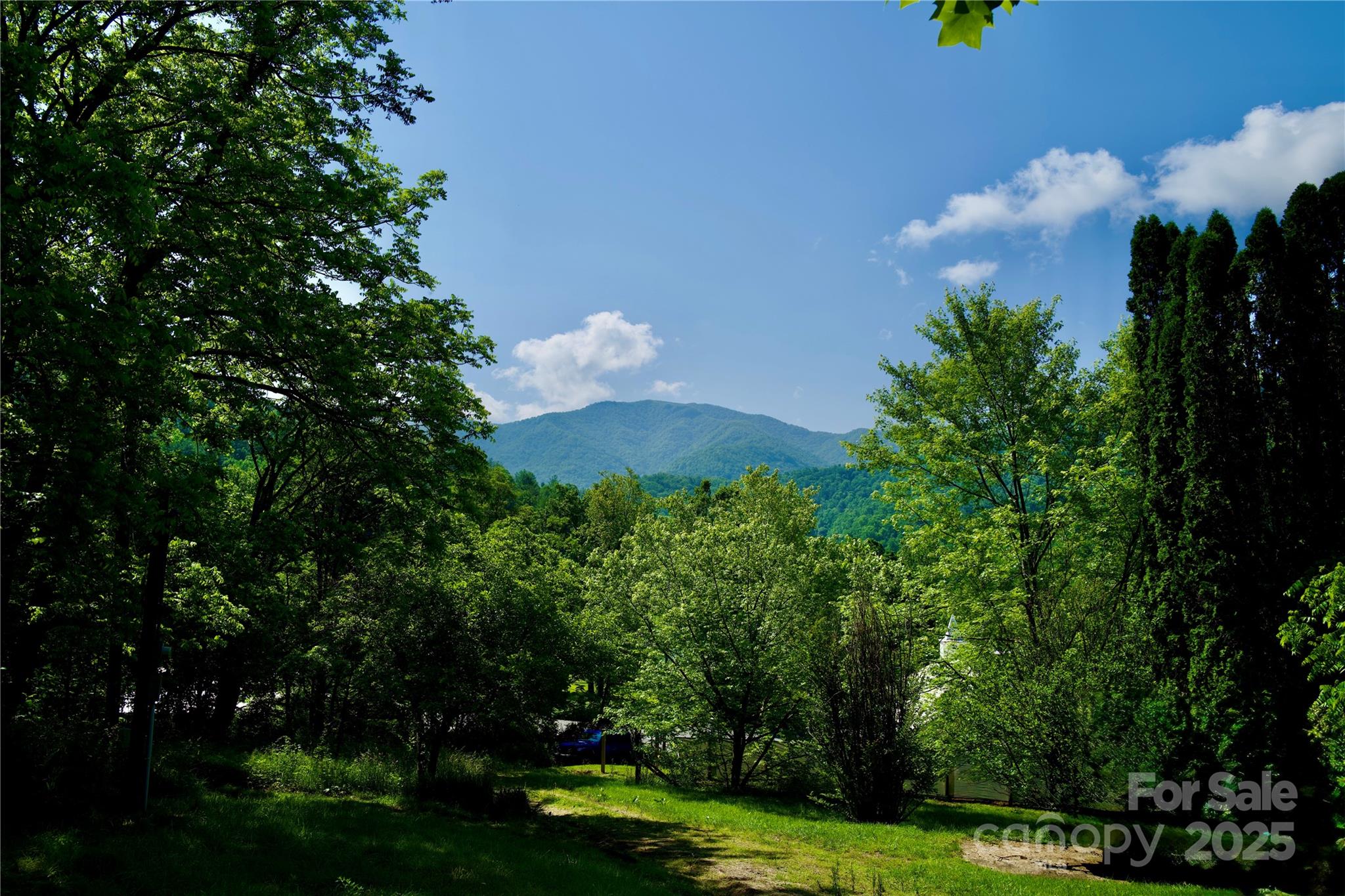 38 Buchanan Hill Road — Bakersville