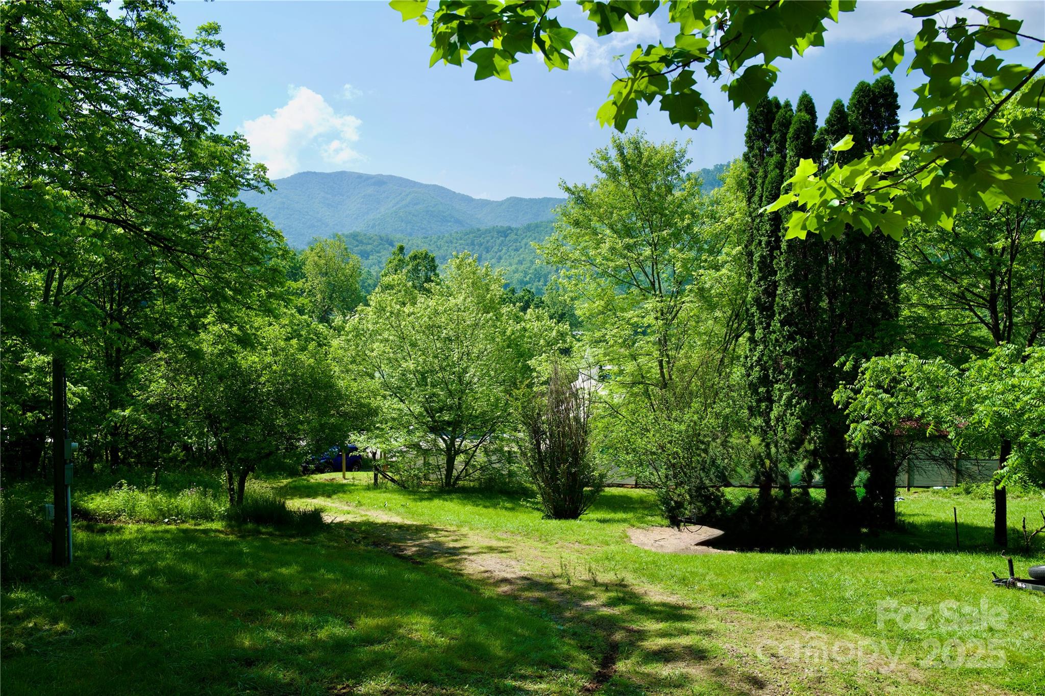 38 Buchanan Hill Road — Bakersville