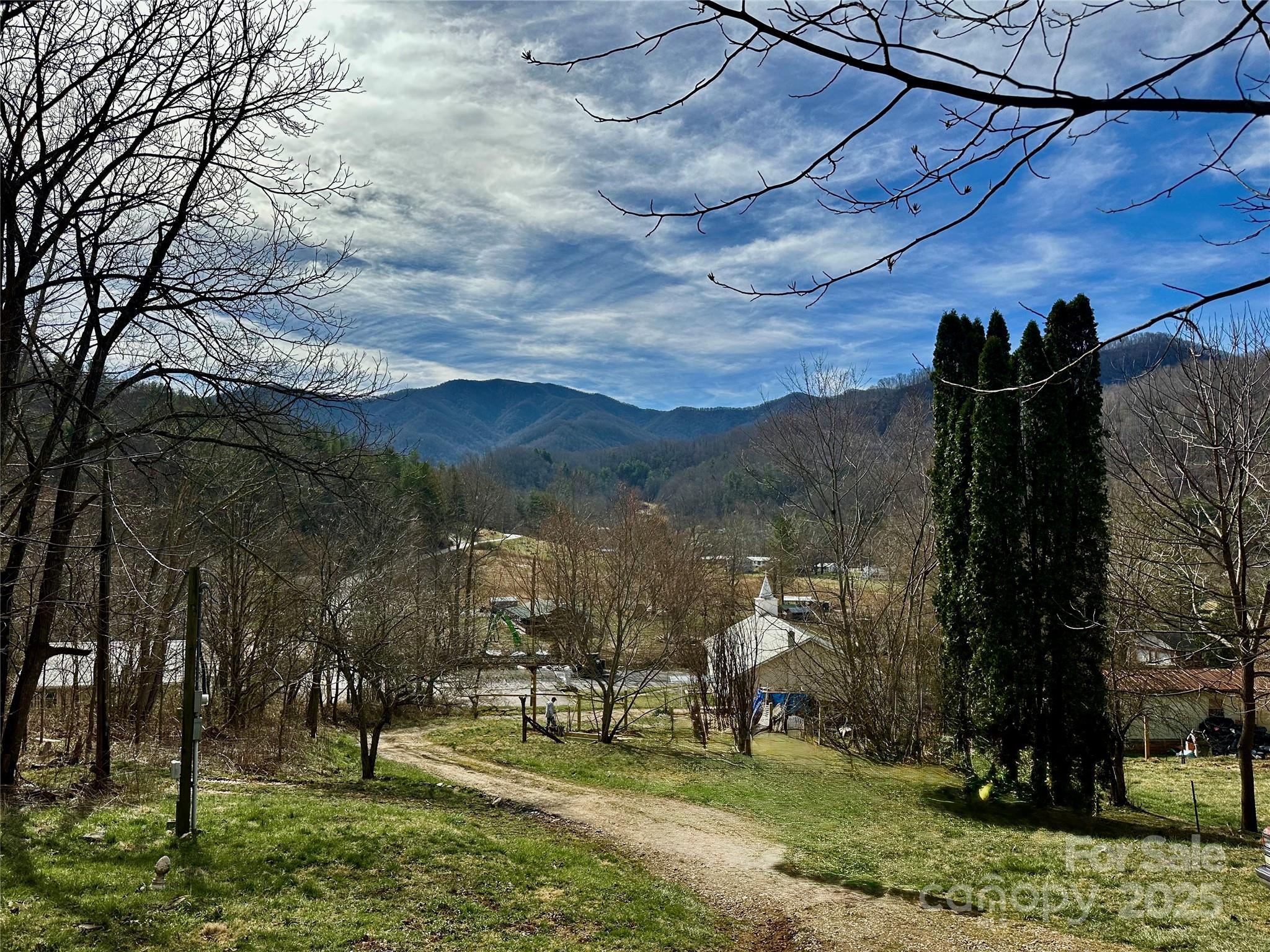 38 Buchanan Hill Road — Bakersville