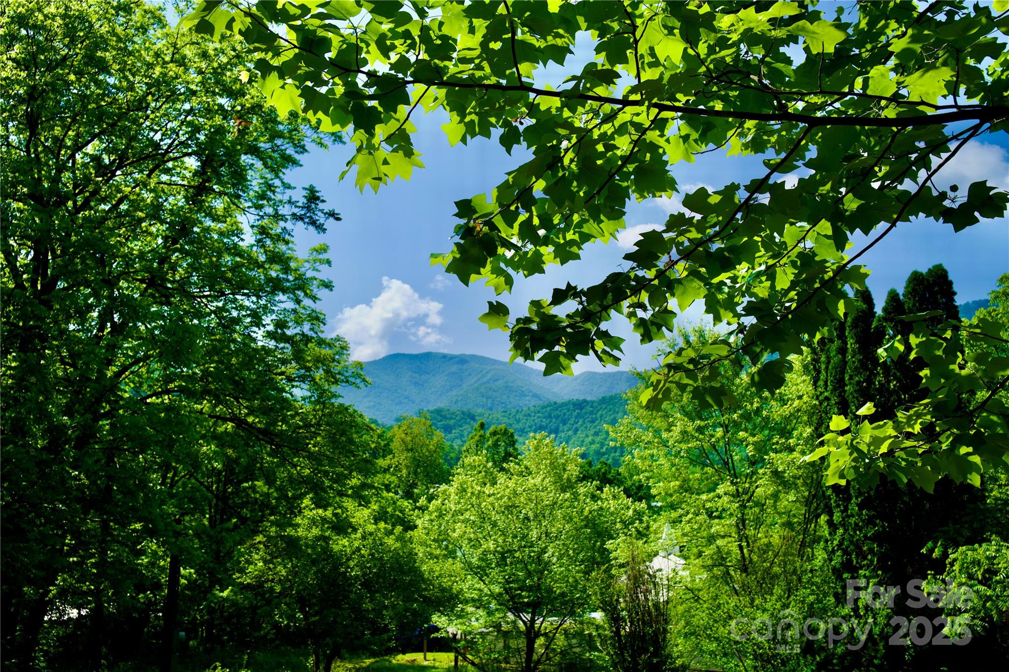 38 Buchanan Hill Road — Bakersville