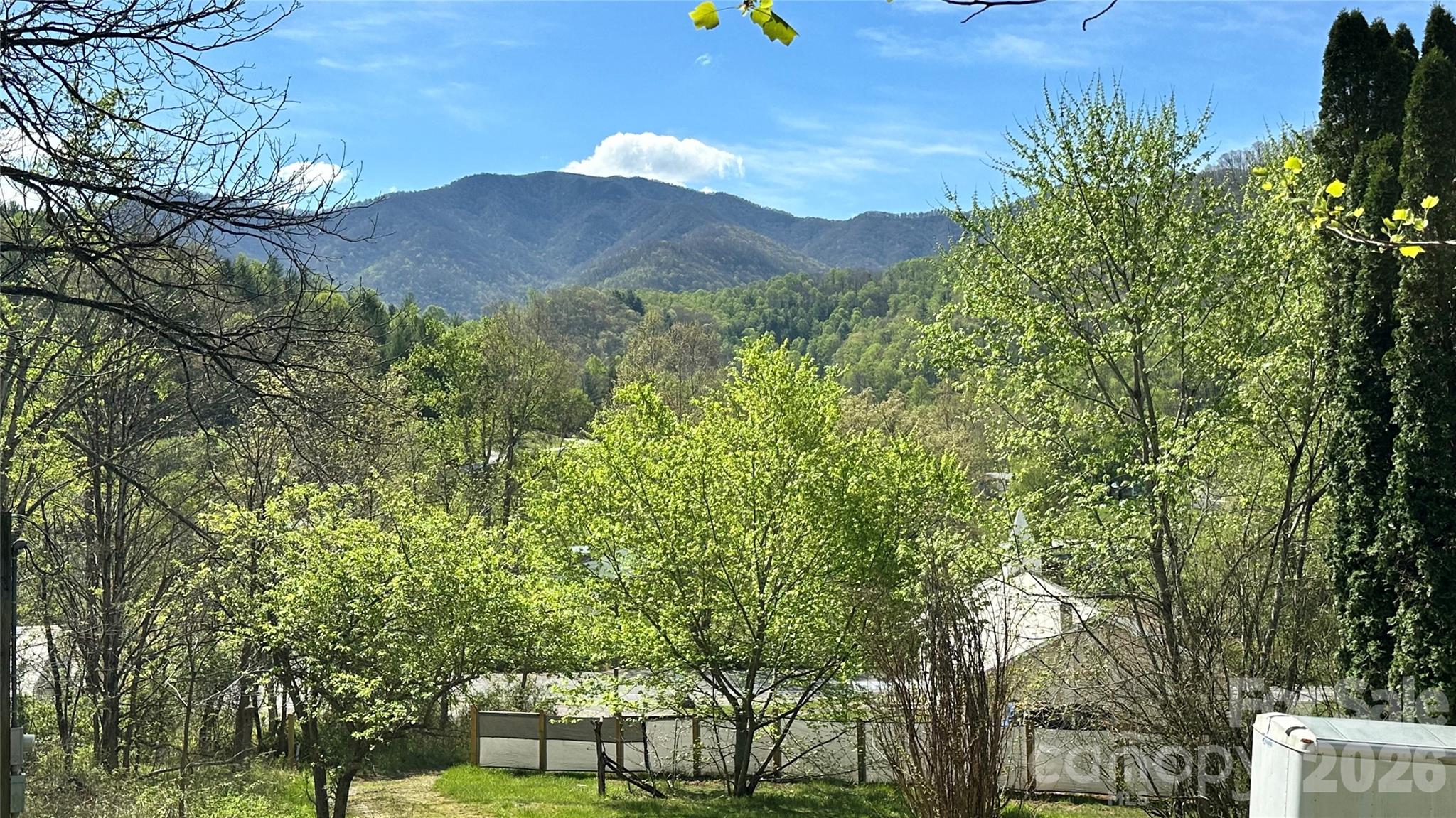 38 Buchanan Hill Road — Bakersville