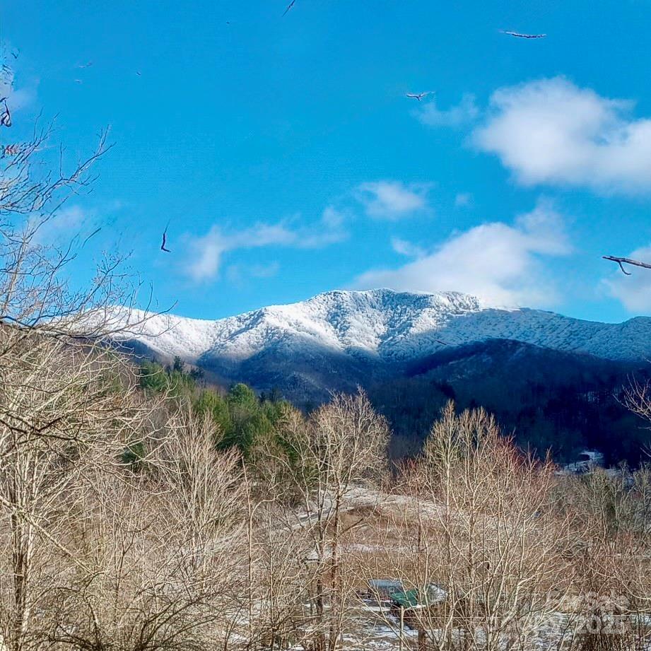 38 Buchanan Hill Road — Bakersville