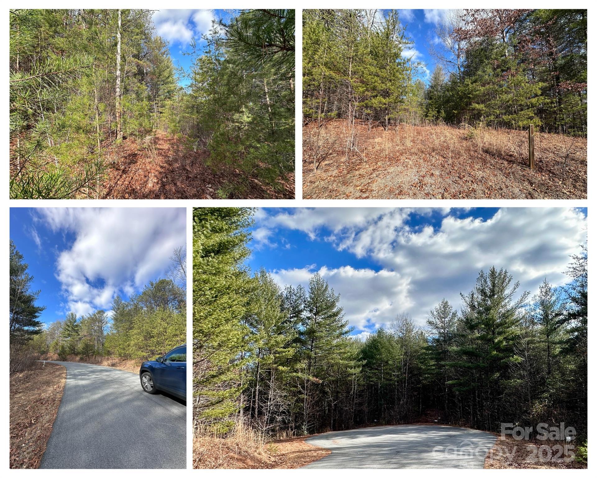 0 Conroy Court #85 — Lenoir