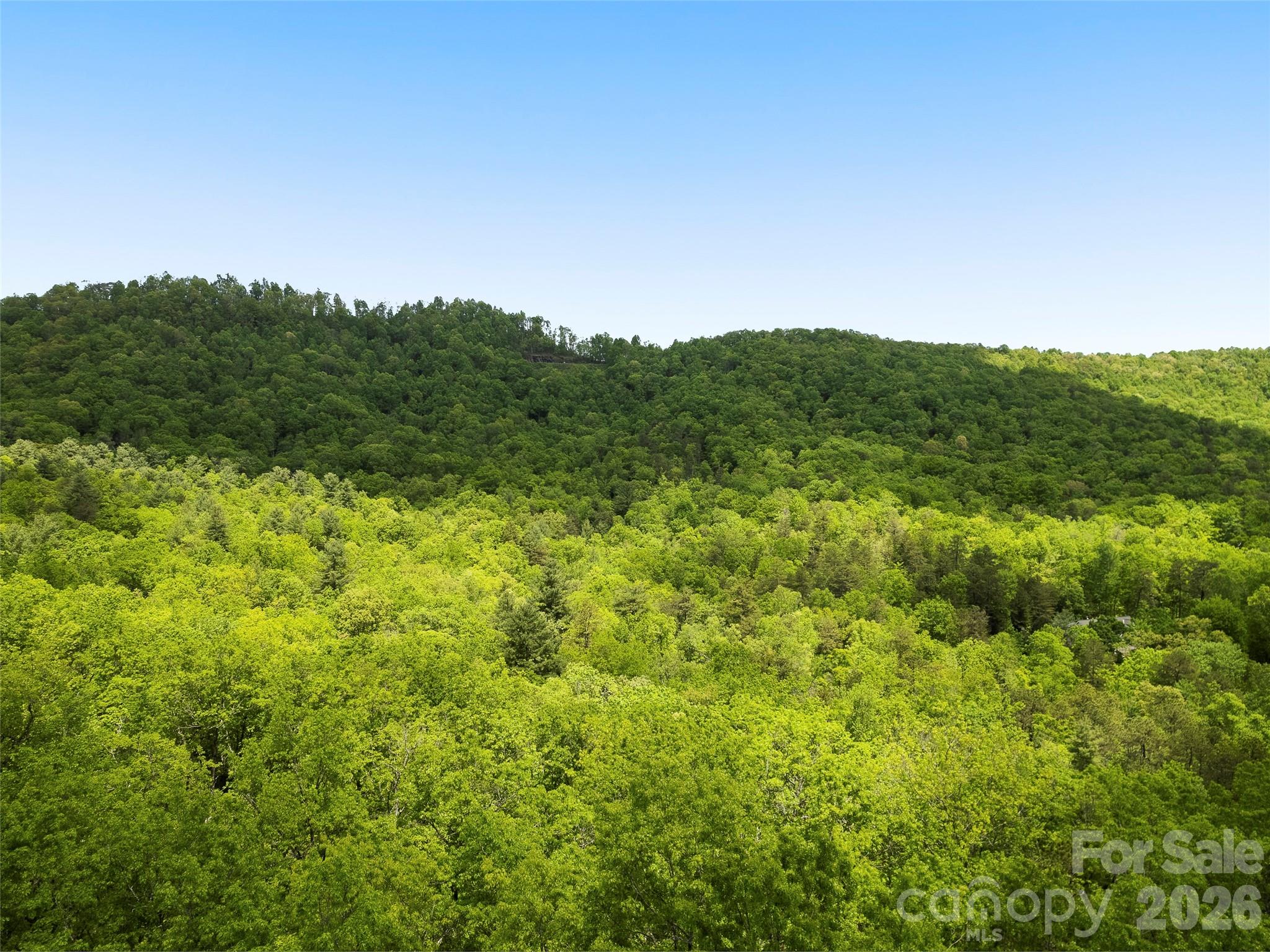 1455 Flint Rock Trail — Arden