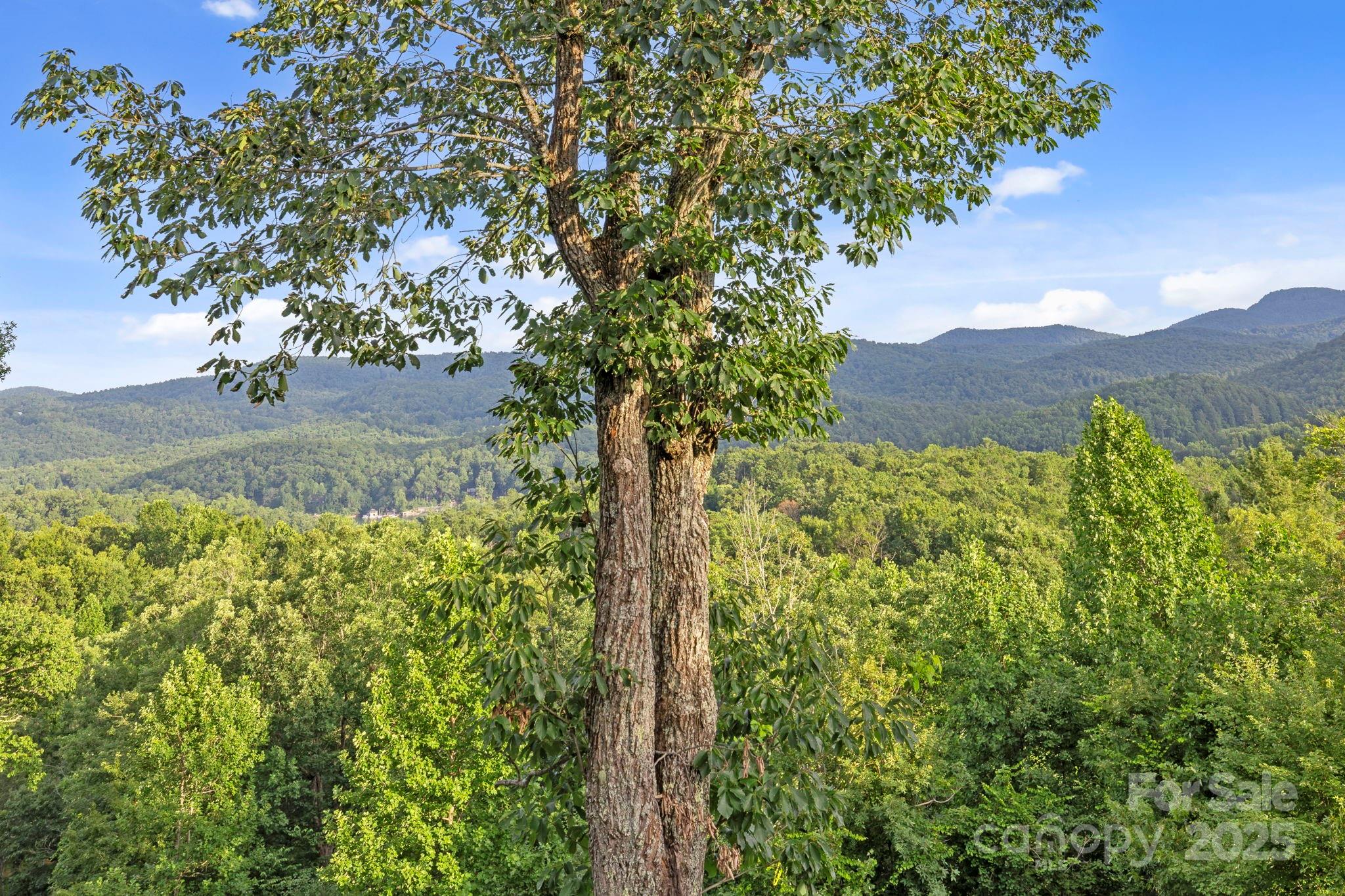 288 Hawks Point Drive — Zirconia