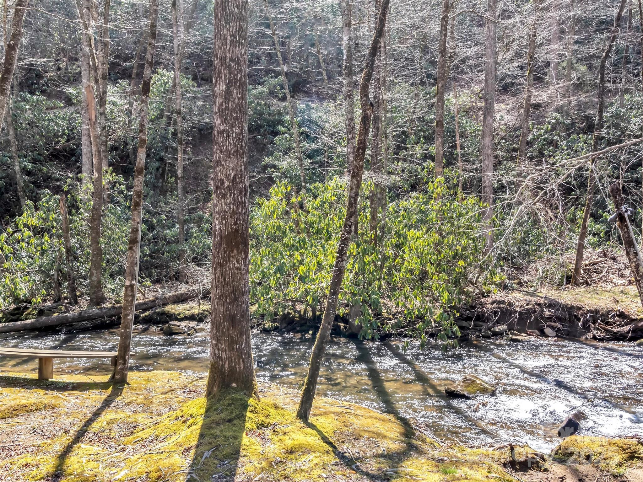 7810 Little Snowbird Road — Robbinsville