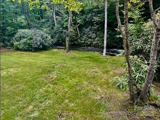 7810 Little Snowbird Road — Robbinsville
