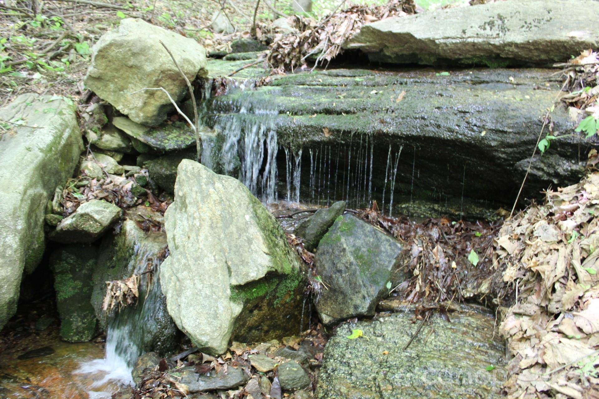 337 Roberson School Road — Moravian Falls