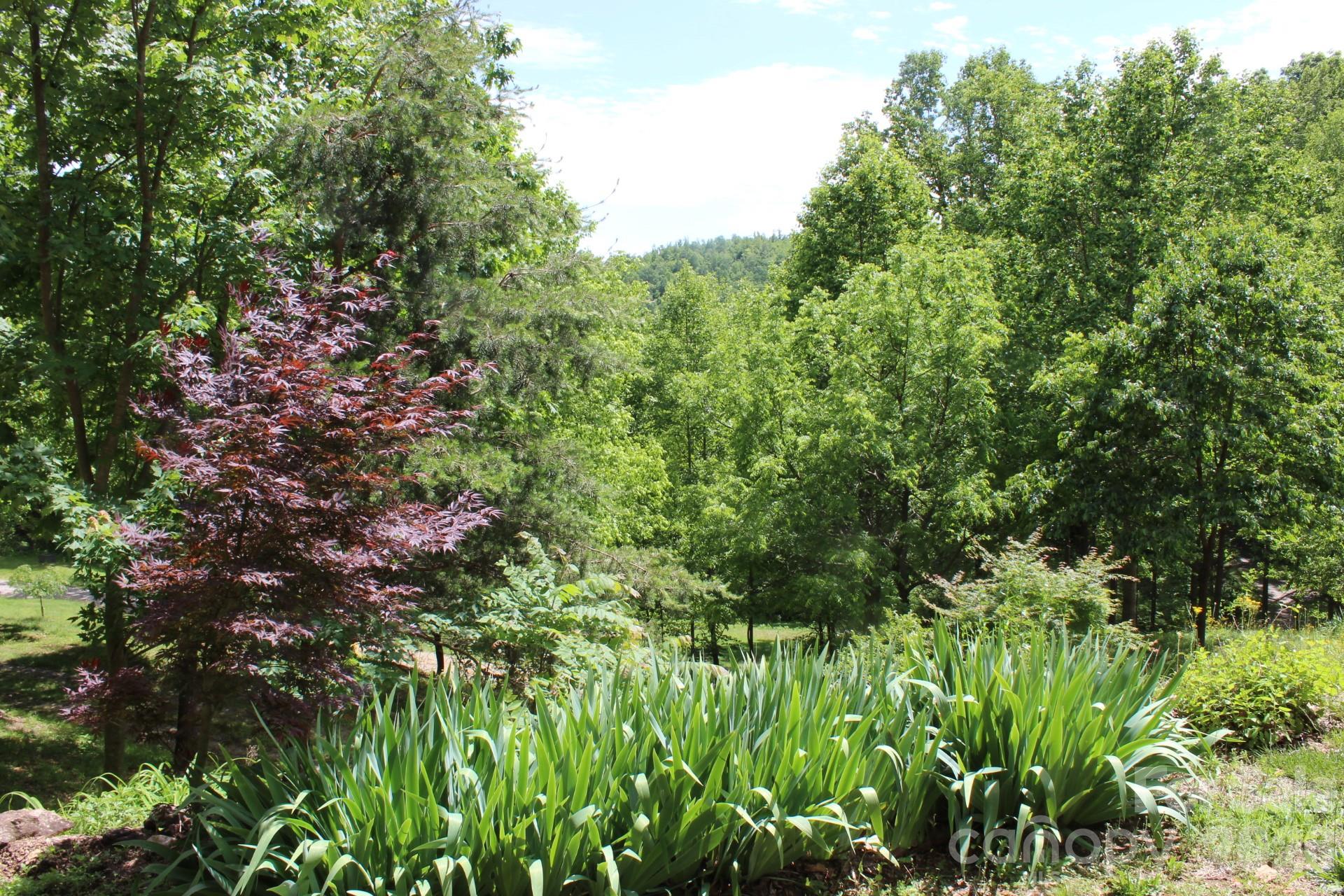 337 Roberson School Road — Moravian Falls