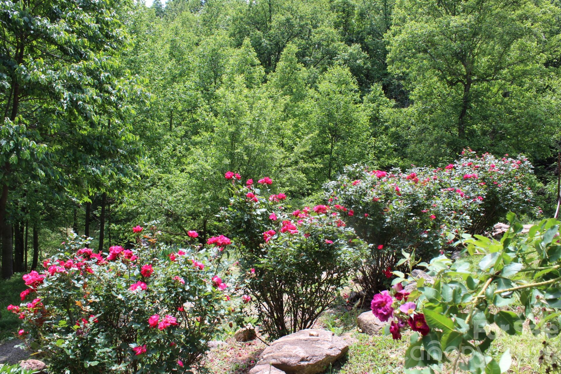 337 Roberson School Road — Moravian Falls
