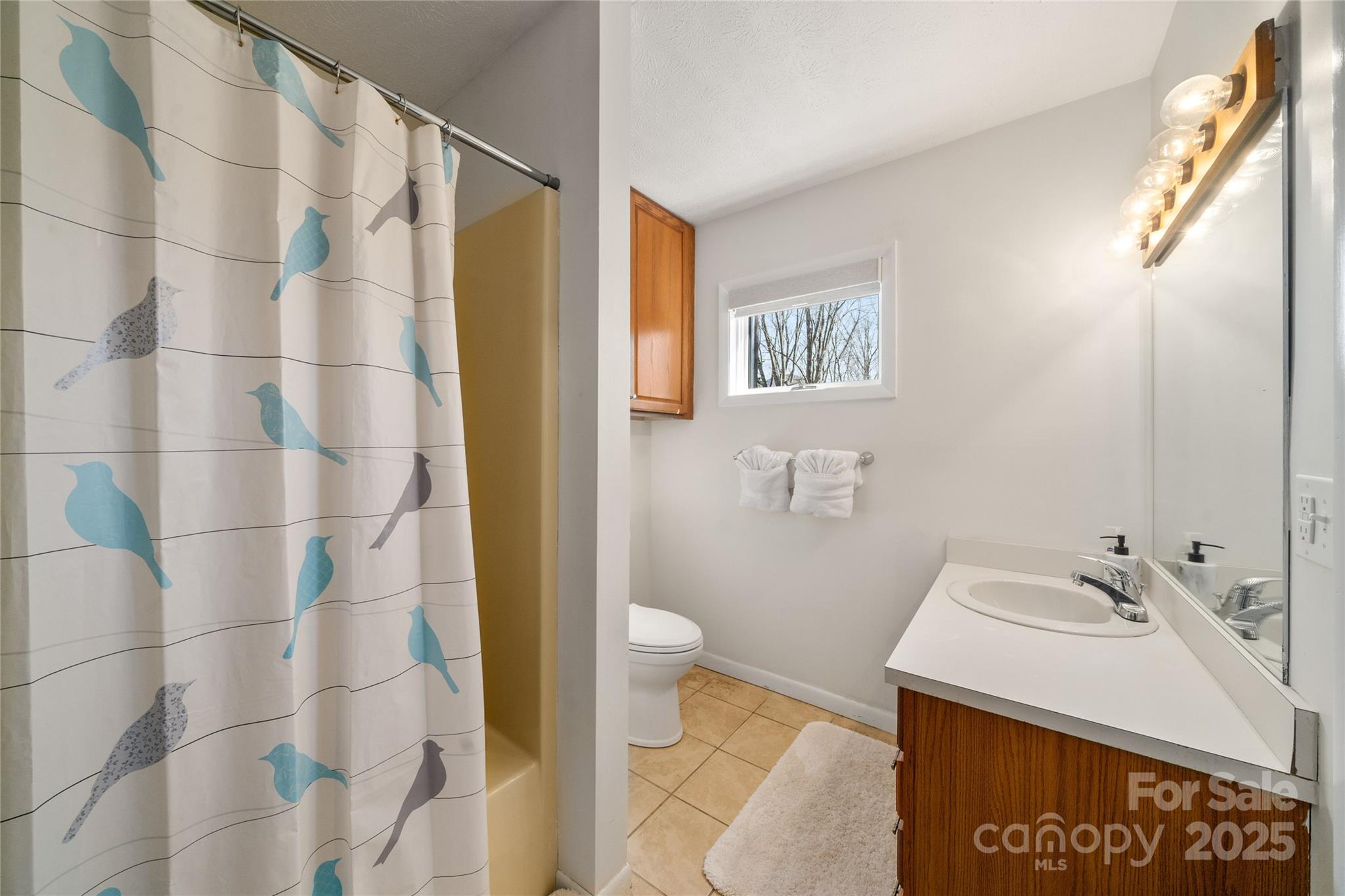 158 Blackberry Lane — Maggie Valley