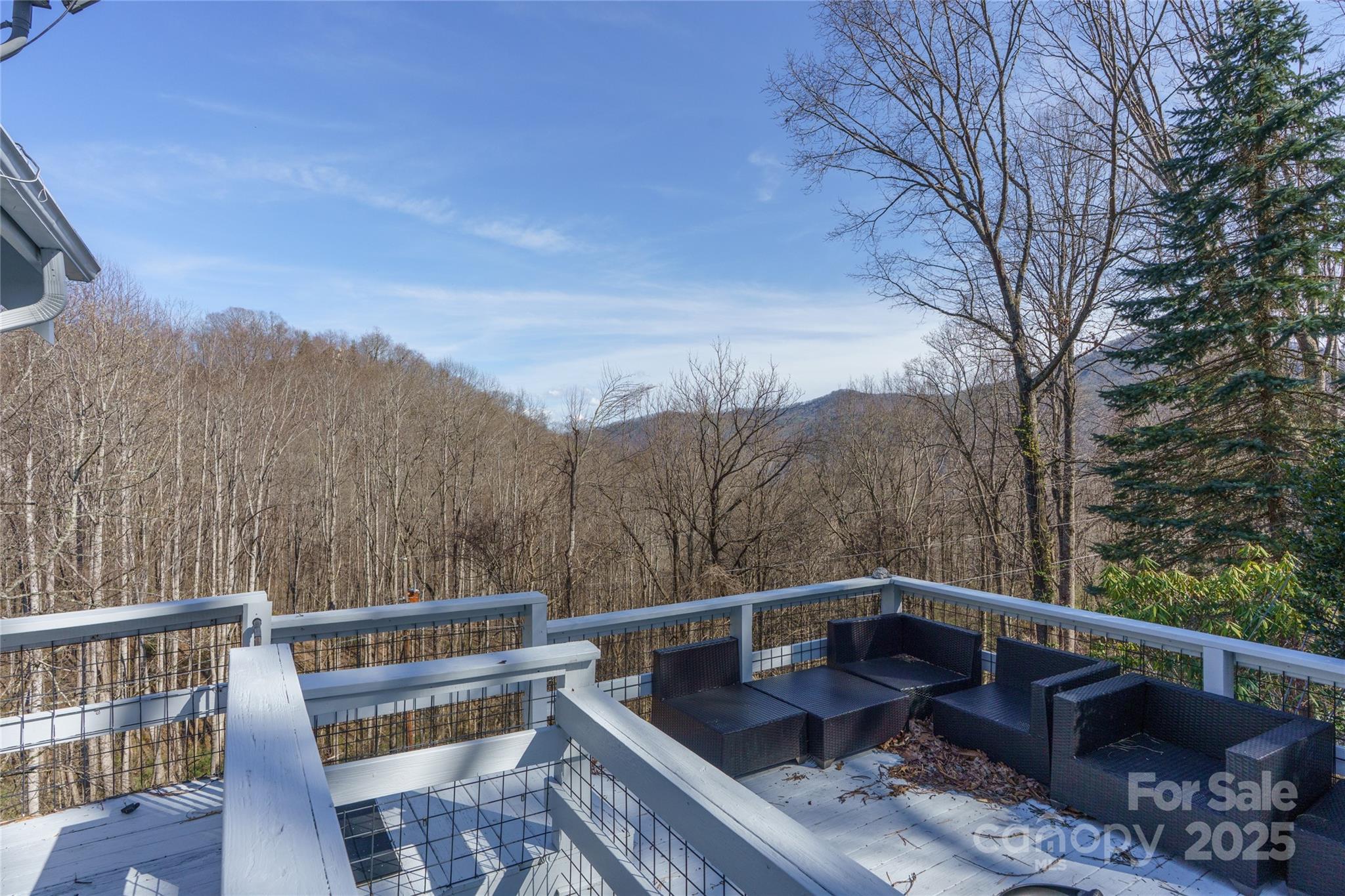 158 Blackberry Lane — Maggie Valley