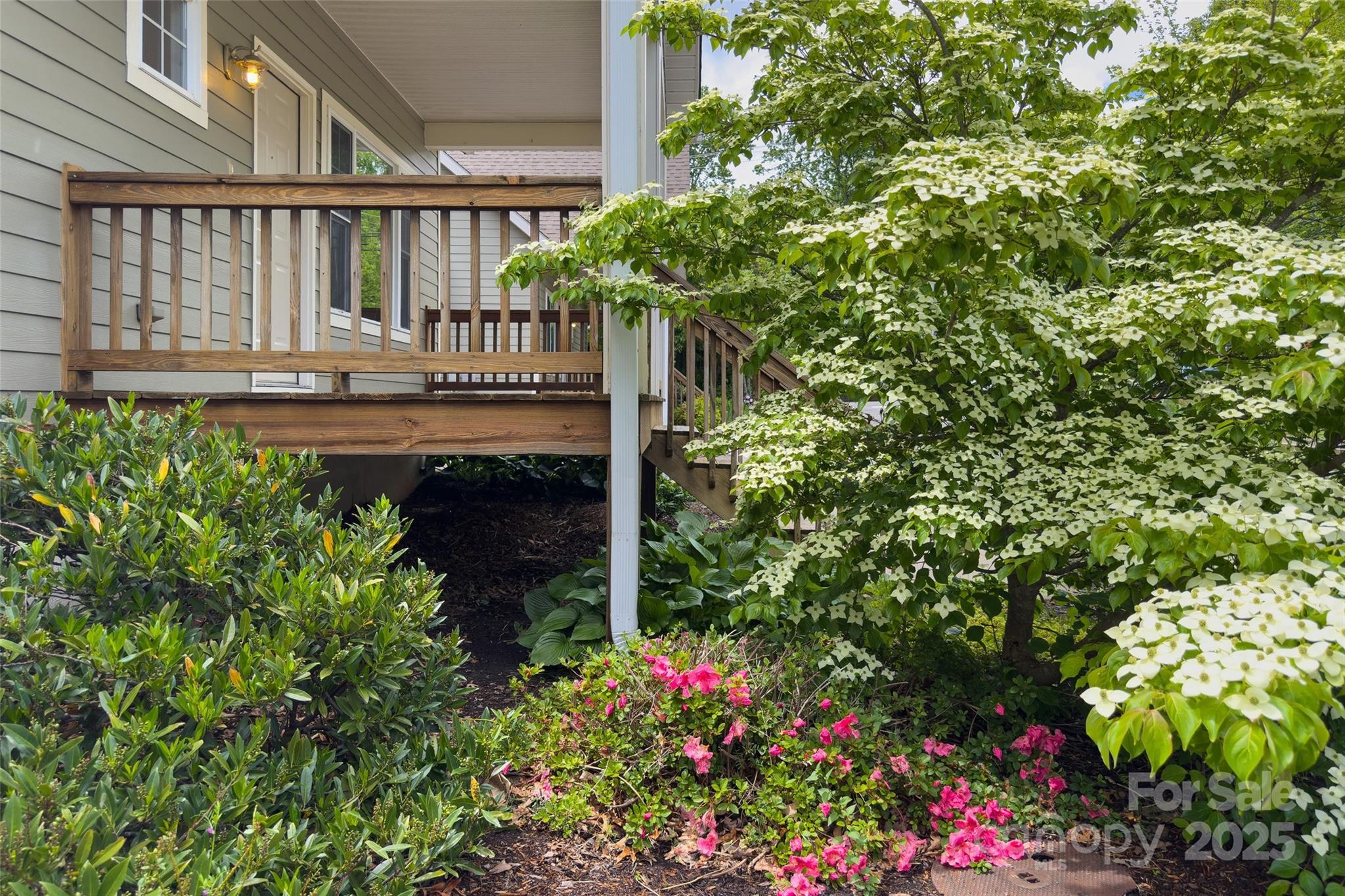 3 Teresa Way — Black Mountain