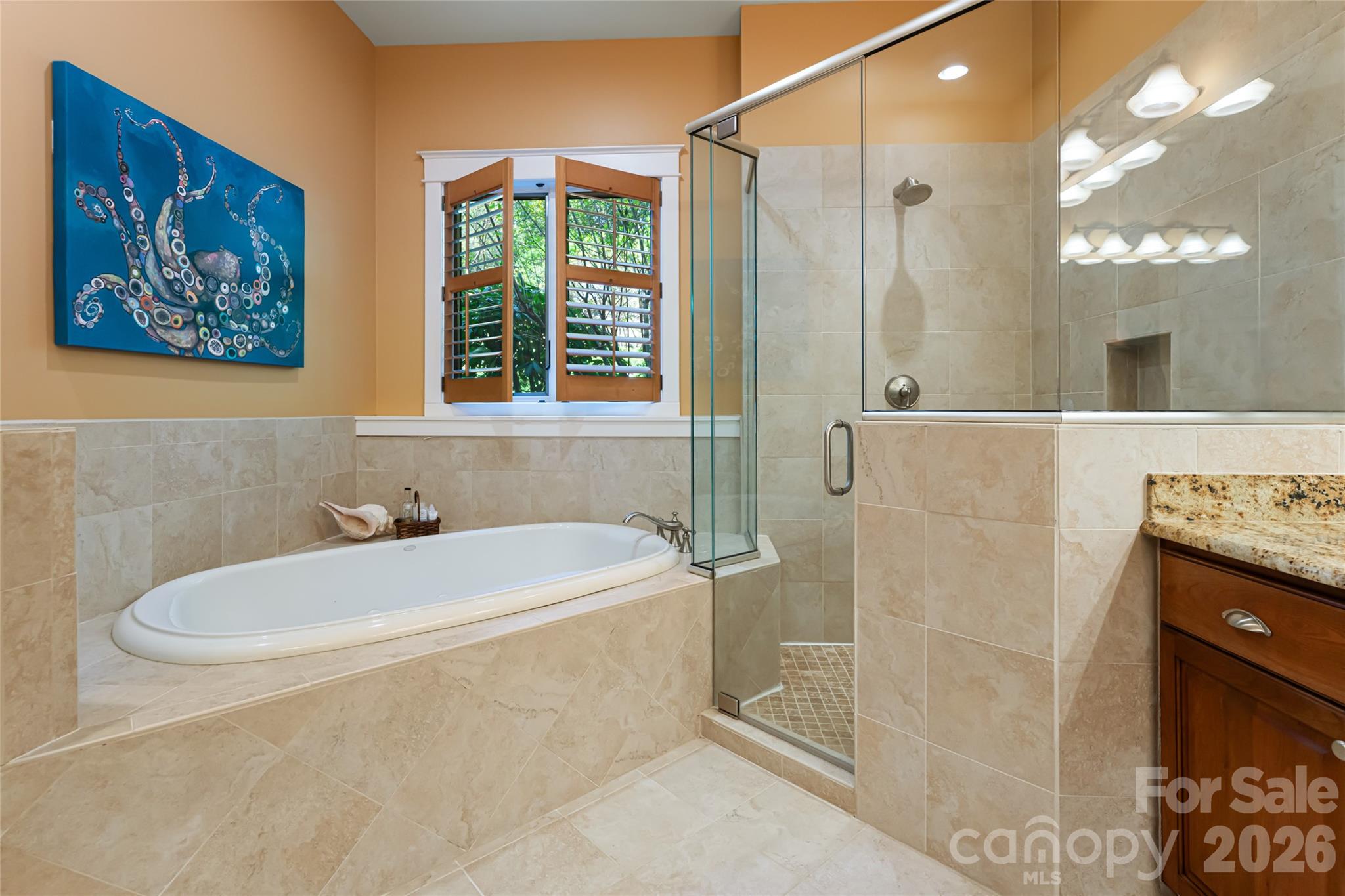 256 Senator Reynolds Road — Asheville