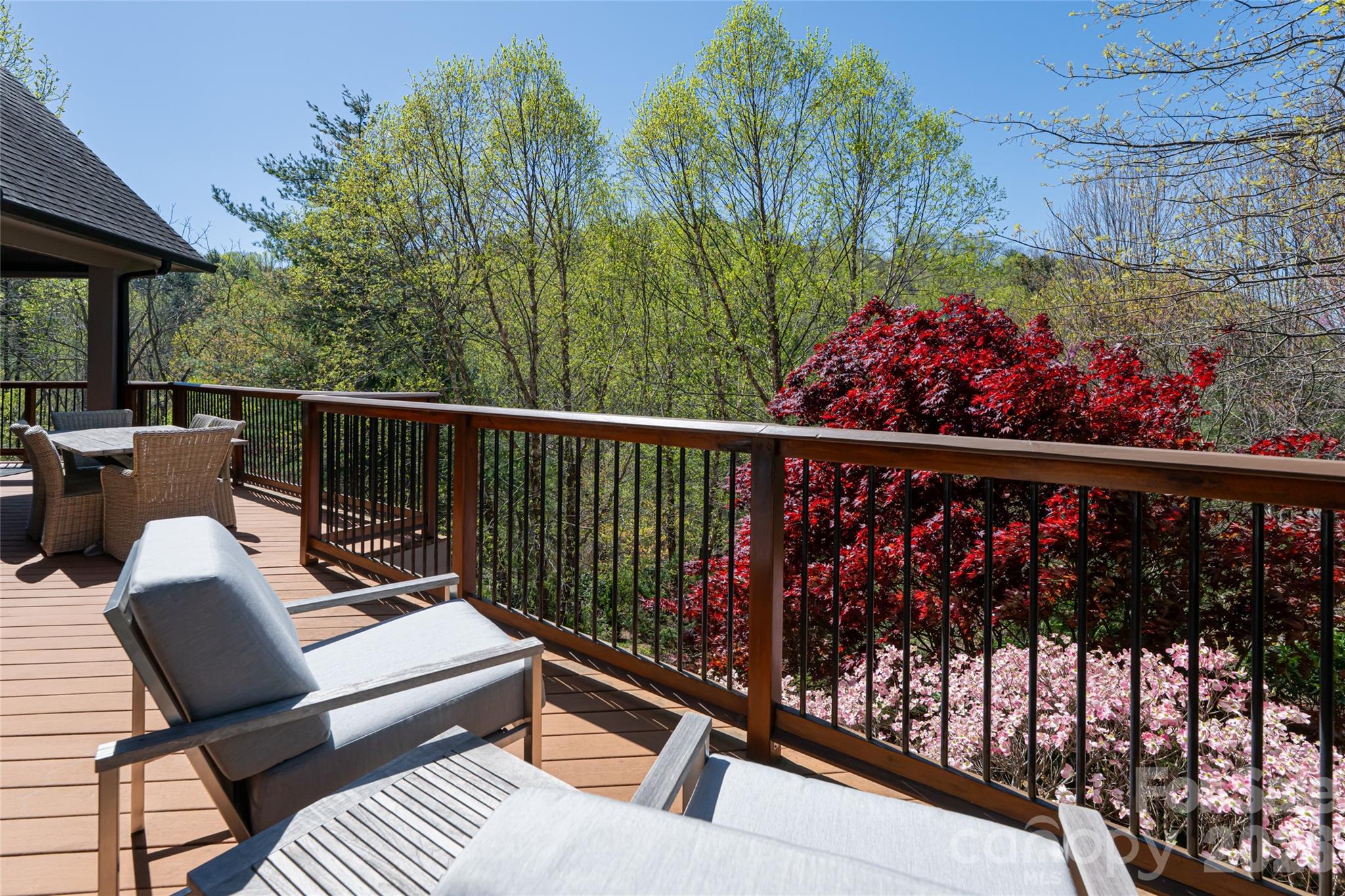 256 Senator Reynolds Road — Asheville