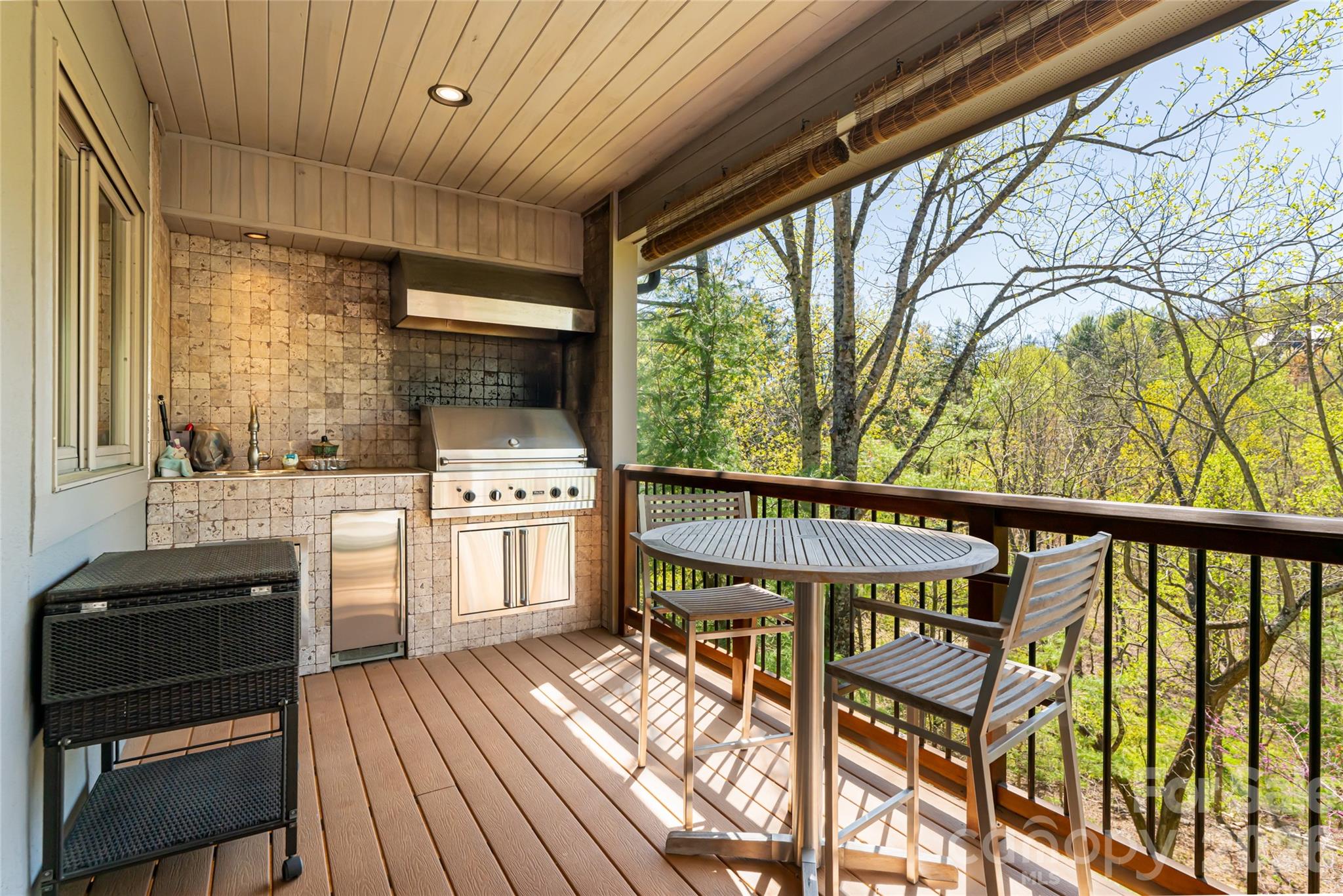 256 Senator Reynolds Road — Asheville